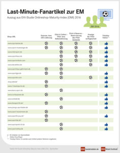 Last-Minute-Fanartikel zur EM (aus EHI-Studie Onlineshop-Maturity-Index 2016)